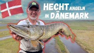 Hechtangeln in Dänemark I Reviere, Tackle, Köder und Bestimmungen zum Angeln auf Hecht in Dänemark