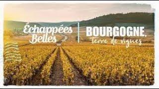 La Bourgogne, terre de vignes - Échappées belles