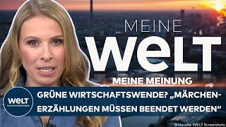 MEINE MEINUNG: Grüne Wirtschaftswende? "Märchenerzählungen müssen beendet werden" – Nena Brockhaus