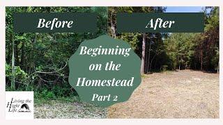 CLEARING LAND BY HAND PART 2. Starting on our homestead driveway. Building a homestead on a budget