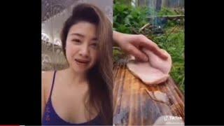 Beginilah Reaksi Cewek Cewek Pas lihat Lagi Bela ayam ( Tik Tok Viral )