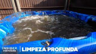 Limpeza Profissional De Banheiras De Hidromassagem | Limpeza Profunda | Insider Português
