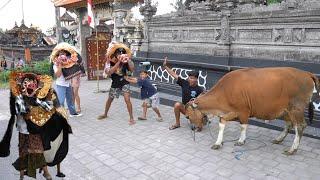 SAPINYA RAMA MENG4MVK SAAT ADA BARONGAN BANGKUNG DAN BARONGAN MACAN?