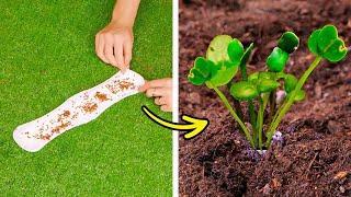  Лайфхаки для сада: умные способы улучшения вашего зеленого пространства