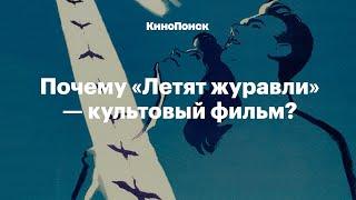 Почему фильм «Летят журавли» — культовый?