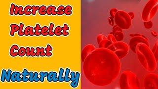 How To Increase Platelet Count | Natural Ways To Increase Platelet Count | Thrombocytopenia |