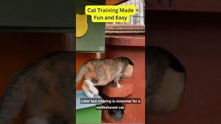 Pawsome Tricks Cat Training Made Fun and Easy