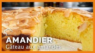 Amandier | Recette Food'Cuisine