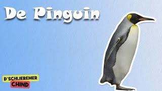 Schlieremer Chind - De Pinguin | Mir gönd in Zoo
