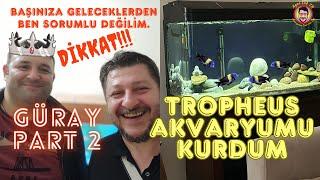 Tropheus Akvaryumu Kurdum  DİKKAT Conta Yakarsanız Mesuliyet Kabul Etmem GÜRAY PART 2