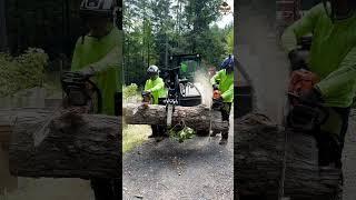 Tough competition between Stihl 500i vs 462c Chainsaw #outdoors #treecutting #chainsaw