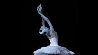 Svetlana Zakharova in The Dying Swan