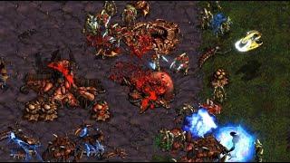 Snow!  (P) vs Soma!  (Z) on Neo Sylphid - StarCraft - Brood War REMASTERED