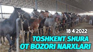 TOSHKENT SHURA OT BOZORI NARXLARI | ТОШКЕНТ ШУРА ОТ БОЗОРИ НАРХЛАРИ 18.4.2022 @Xiloliddin_Tv