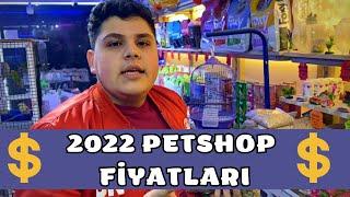 DEVASA KEDİ ALIŞVERİŞİ YAPTIM !! - Kedi alışverişi vlog - petshop vlog