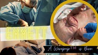 The Birth Of Emmett * a Werepup is Born * Werewolf Baby By Asia Eriksen and Fallen Angels nursery