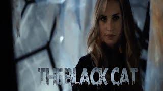 Marvel's The Black Cat (Fan) Trailer- Felicity Jones, Amber Heard
