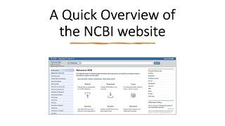 How to Use the NCBI’s Bioinformatics Tools and Databases