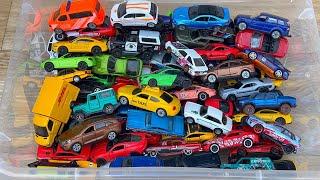 Hot Wheels & Mini GT – Must-See Diecast Car Collection! 