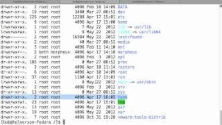 Linux File and Directory Permissions Explained