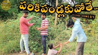 పరికిపండ్లకువోతే | PARIKI PANDLAKU VOTHE | VILLAGE COMEDY | MADE IN VILLAGE