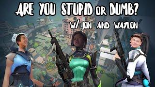 r u stupid? | Valorant Funny Moments