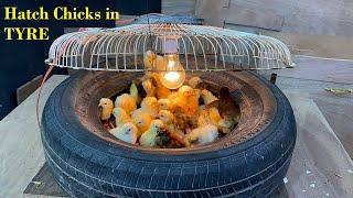 Hatch Chicks In Old Tyre Without Using any Temperature Controller - Amazing Egg hatching