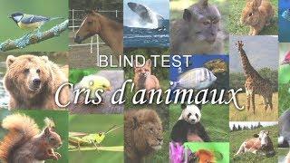 BLIND TEST : Cris d'animaux