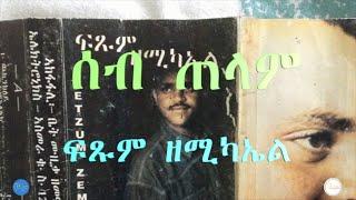 ሰብ ጠላም Seb Telam (Audio)- Fitsum Zemichael ፍጹም ዘሚካኤል Tigrigna Music