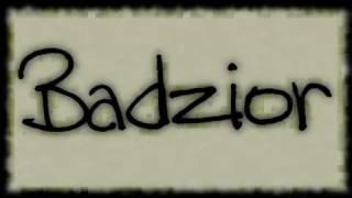 Badzior - o serwerze... #2011