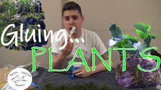 No Substrate Planted Aquarium | Seachem Flourish Glue