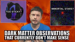 Strange Discoveries About Dark Matter Including Immortal Stars