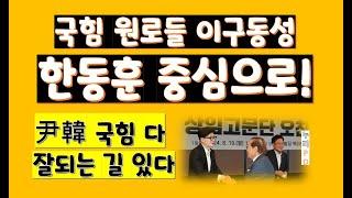 국힘 원로들 이구동성으로 한동훈 중심/ 용산과 韓 다 같이 잘되는 길 있다/누리pd-tv