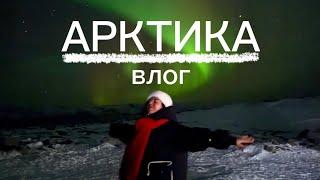 АРКТИКА: ВЛОГ! Северное сияние, поиск китов и сёрфинг