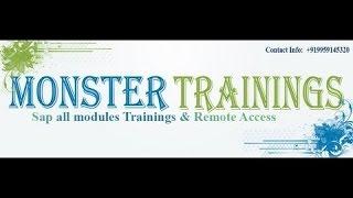 SAP GUI 7.3 Installation by Monster Trainings