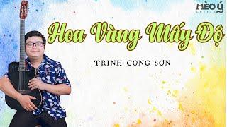 Hoa Vàng Mấy Độ | St Trịnh Công Sơn | Mèo Ú Guitar | Hoà Tấu Nhạc Trịnh Hay Nhất