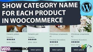 How to Display Category Name For Each Product in WooCommerce Shop page