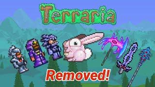 Every Terraria Removed, Unimplemented, And Unobtainable item!