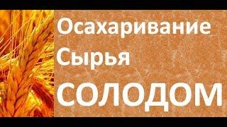 Осахаривание сырья солодом|Рецепт зерновой браги|Проект для начинающих самогонщиков Азбука Винокура