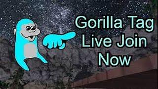 Mr.Tophat making my freined play vr for the 1st time Live gorilla tag 200 subs