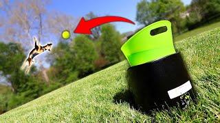 I Bought My Dog A Fetch Robot