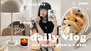 life lately  how much I spend on weekly groceries living in australia  cozy day, thrift haul