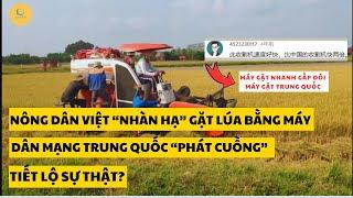 Nông dân Việt "nhàn hạ" gặt lúa bằng máy, dân mạng Trung Quốc "phát cuồng": Tiết lộ sự thật bất ngờ!