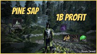 BDO Life | Pine Sap Gathering | 1B PROFIT