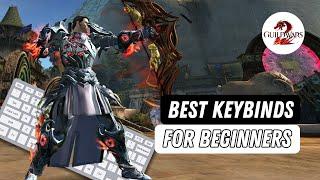 Beginner Keybinds and Settings Guide - Guild Wars 2