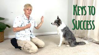 Keys to SUCCESS for training your dog to STAY