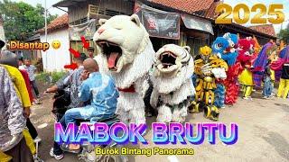 Mabok Brutu - Burok Bintang Panorama Show Desa Astanajapura ️ Cirebon 2025