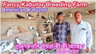 Fancy Kabutor In Uluberia | Fancy Kabutor Breeding Farm | Kolkata FancyPigeon Selling | Akhil Maity