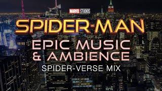 Spider-Man | 4K Epic Music and Ambience, with Samuel Kim Music & L'Orchestra Cinématique