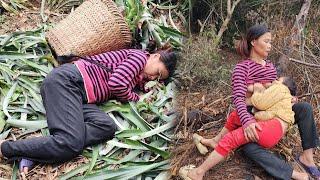 Farm life: mother and daughter growing pineapples together, the daily life of a single mother